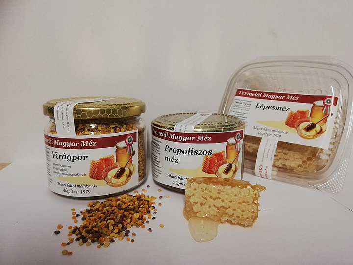 Iskolakezdéshez egészséges csomag