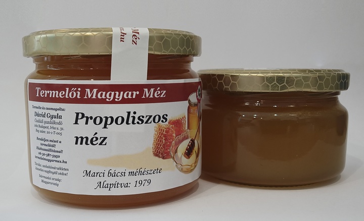 Propoliszos méz