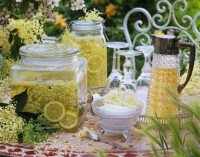 mézeskrémes mézes krémes